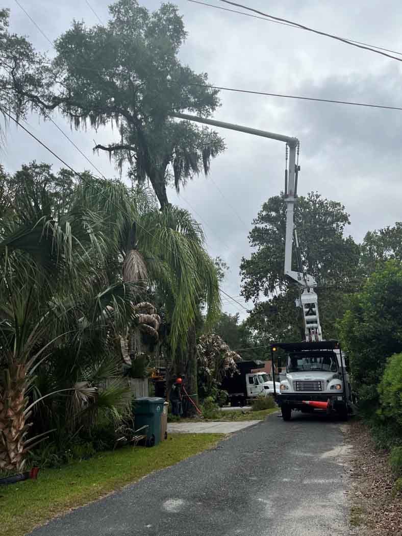 tree cutting services 1