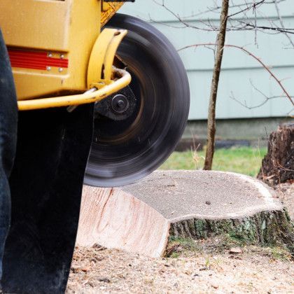 Stump Removal & Grinding