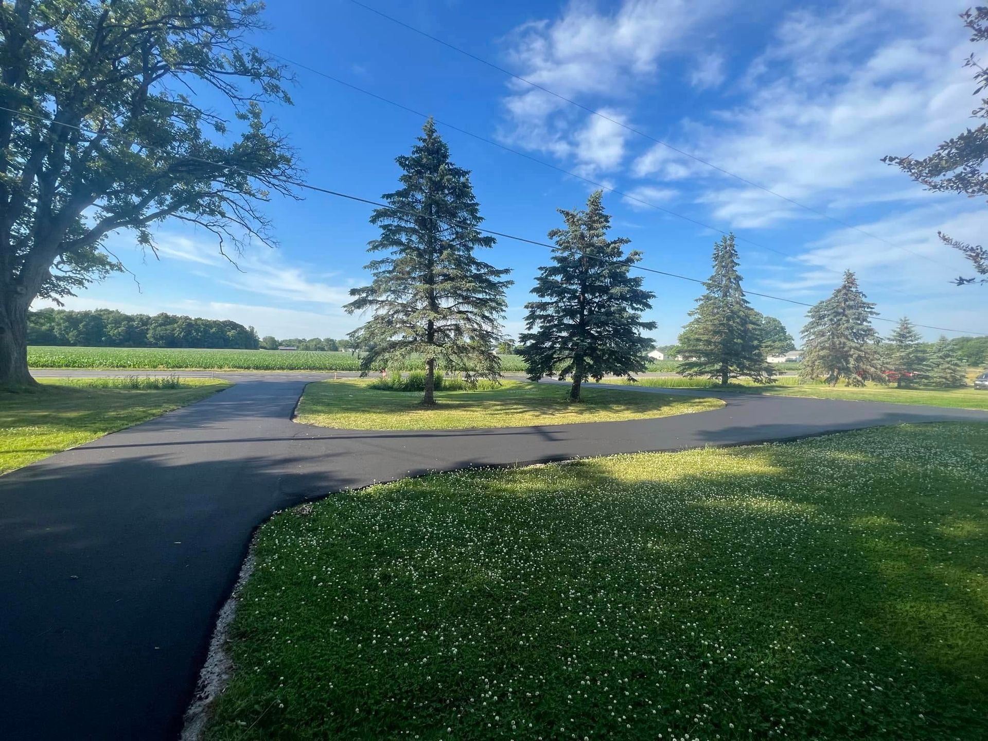 Asphalt driveway curves through green lawn with several pine trees under a blue, cloudy sky.