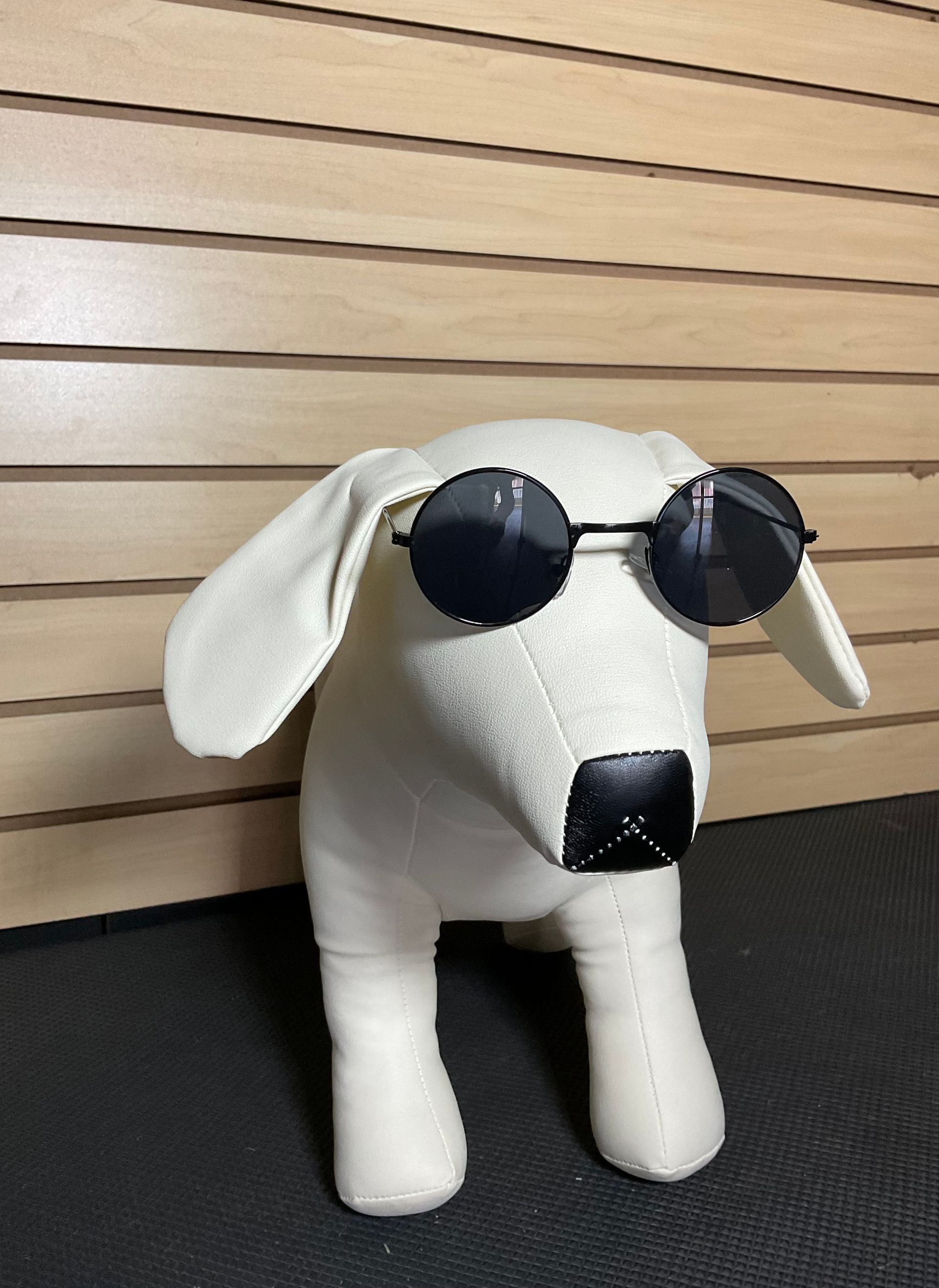 dog glasses