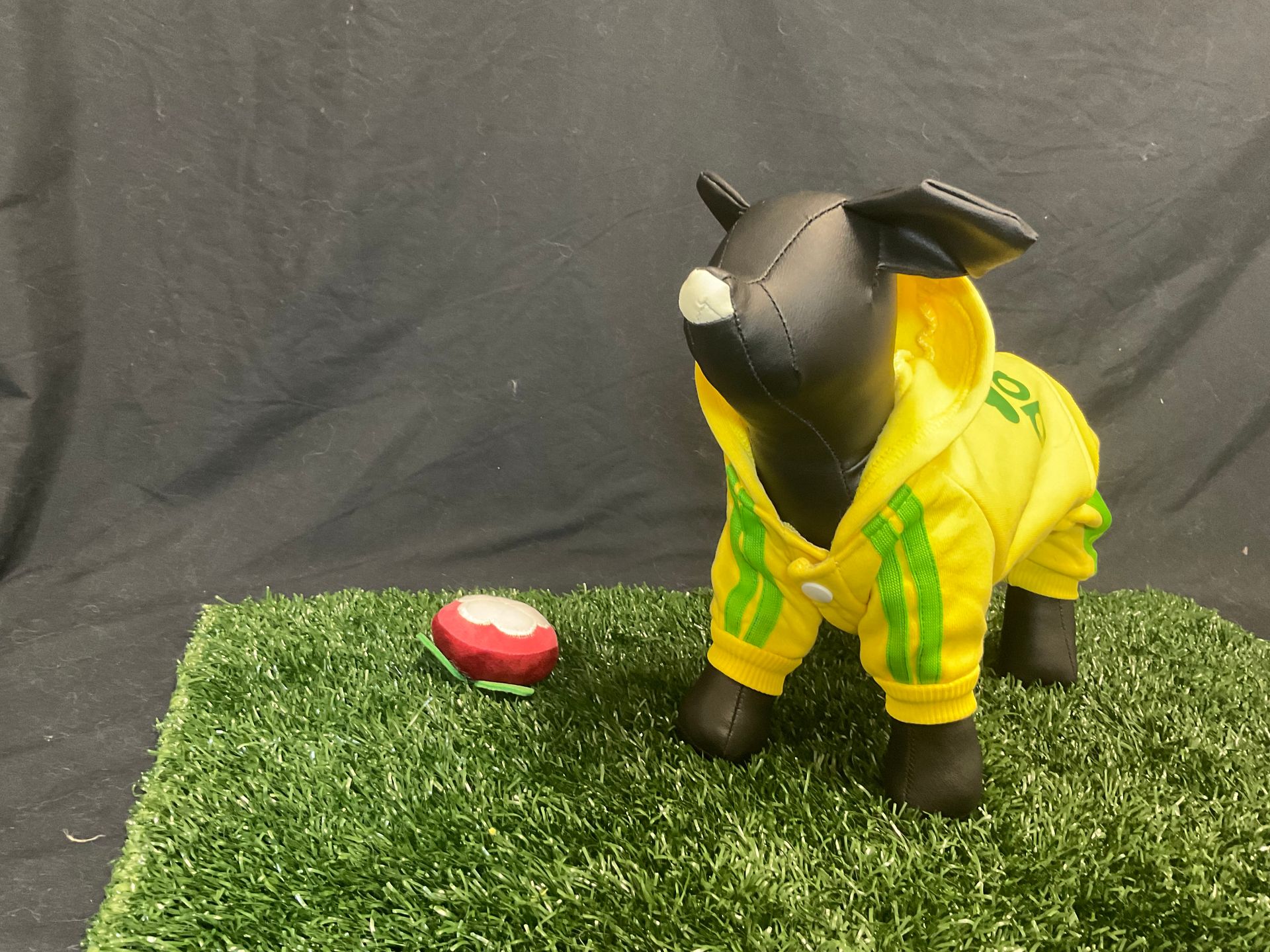 sports hoodie for dog