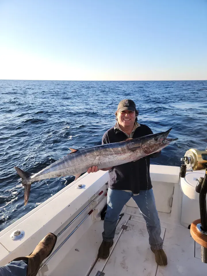 A bunch of fish are sitting on a wooden deck