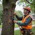 Arborist using a device on a tree in a residential yard. He wears a hard hat and safety vest.