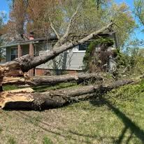 Fallen tree on a house, blocking part of the roof. Debris and green grass in a residential setting.