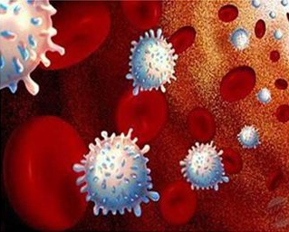 Homeopathy & Holistic Med. Dra. Karla Ponce V.