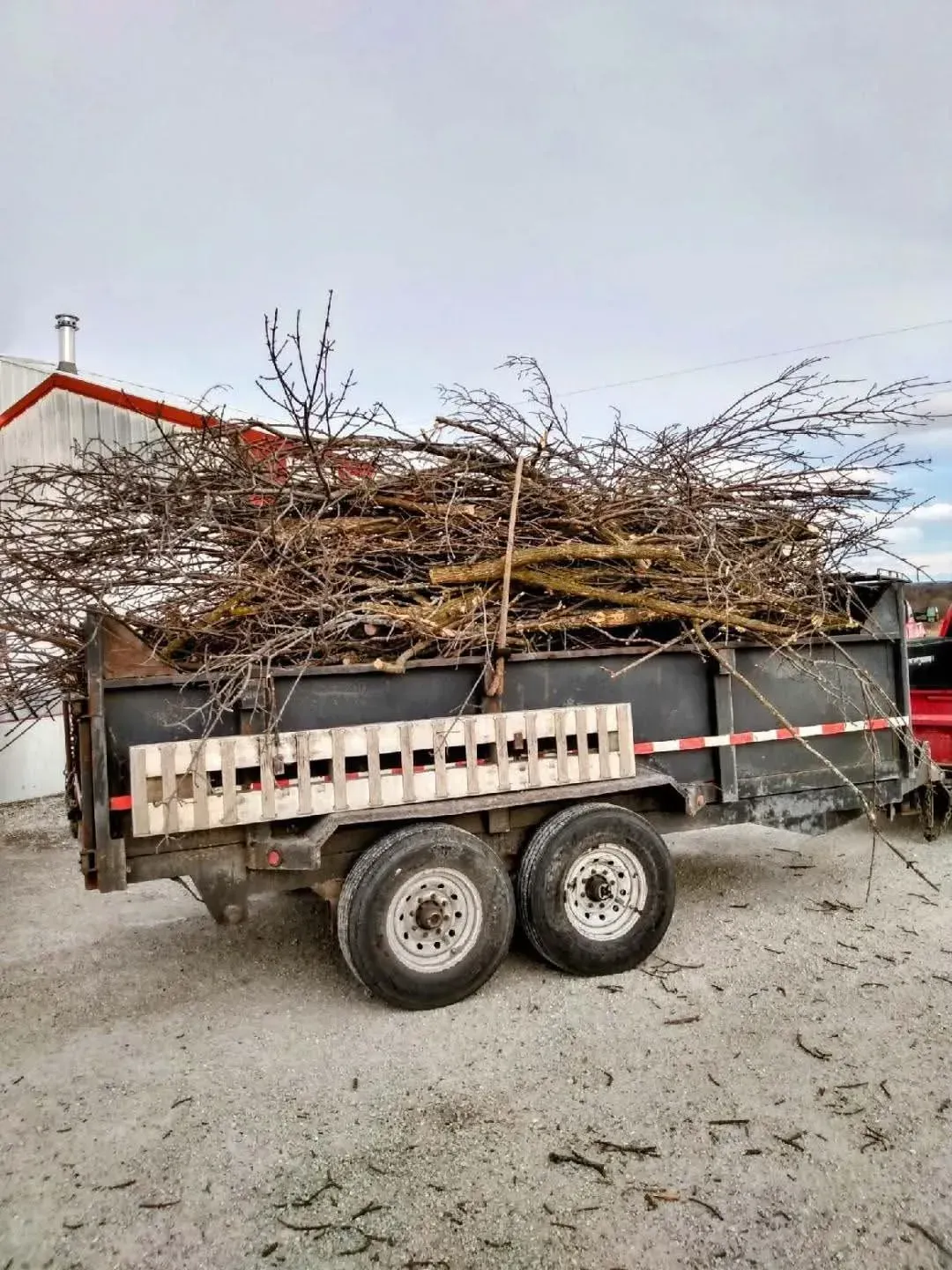 Rustic trailer loaded with bundled branches in a gravel yard, beside a house and tree.