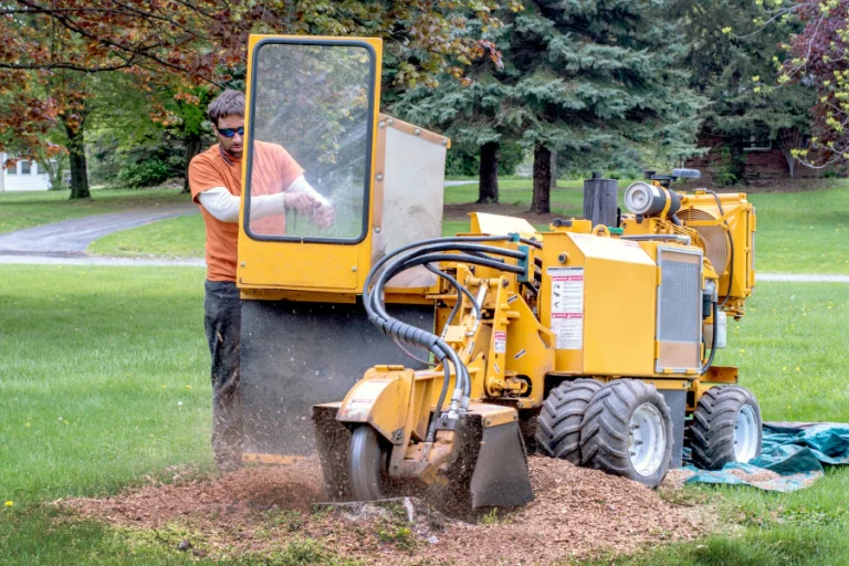 Worker operating a yellow stump grinder in a grassy yard, kicking up wood chips.