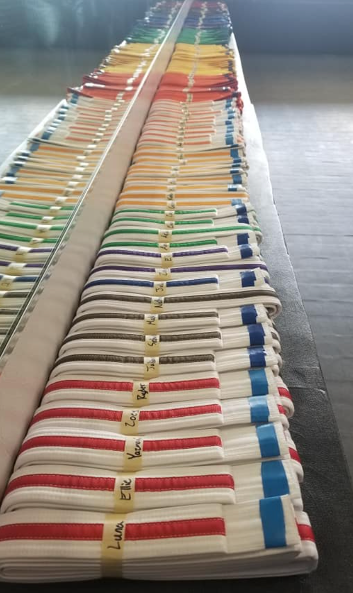 martial arts belt ranks