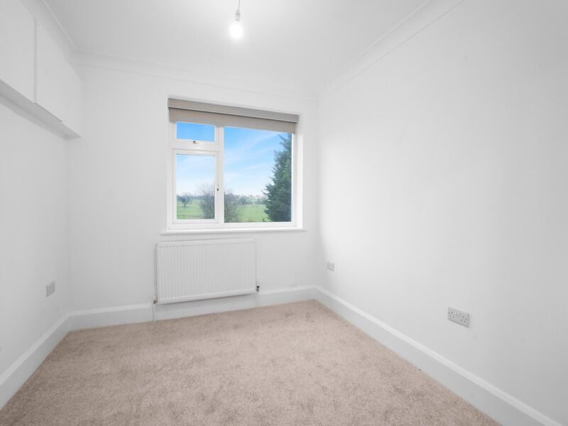 Empty, white-walled room with a window. Beige carpet and baseboards. A radiator sits below the window