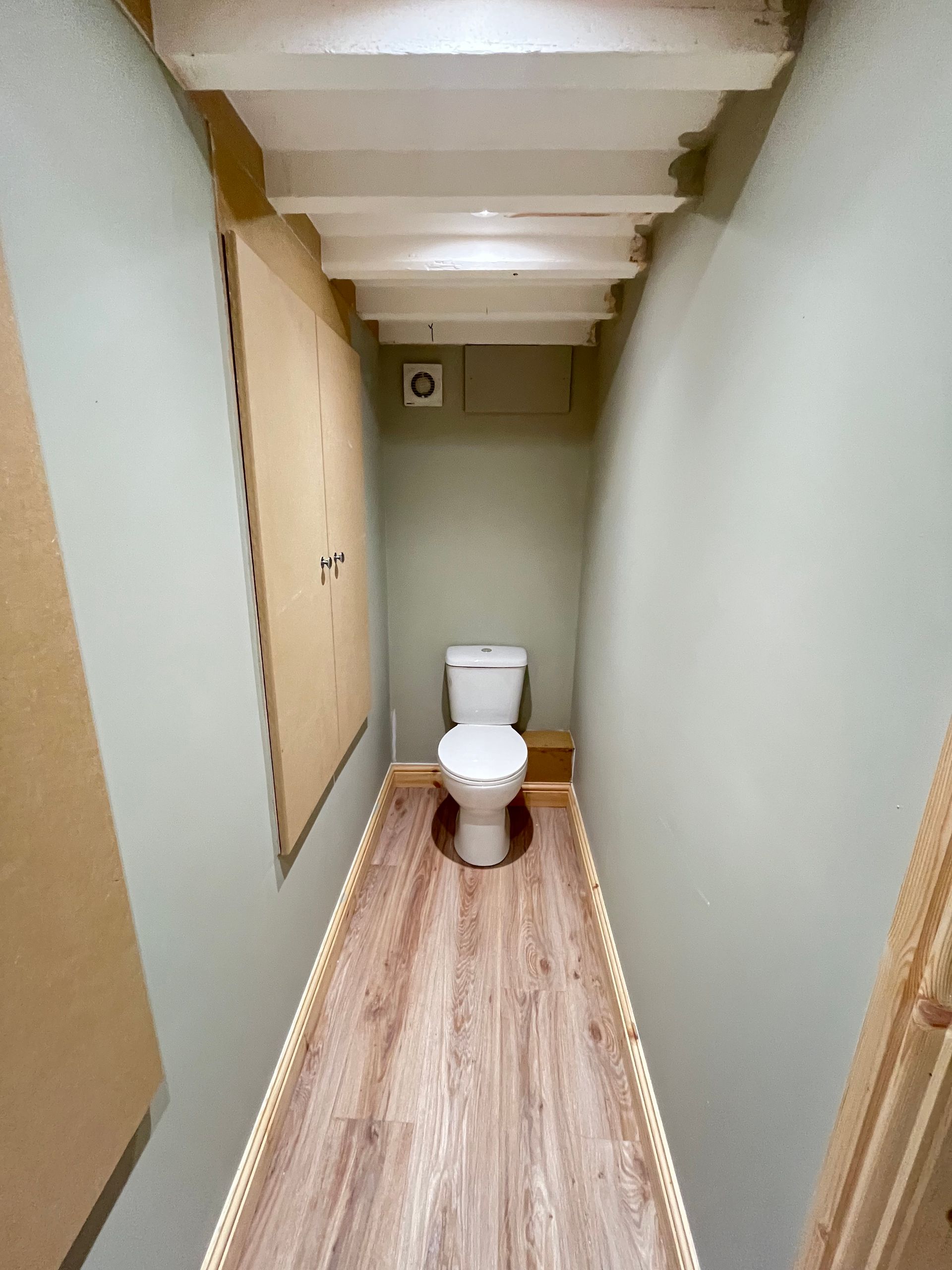 Narrow, light-green bathroom with a toilet, wood-look flooring, and a cabinet against the wall.