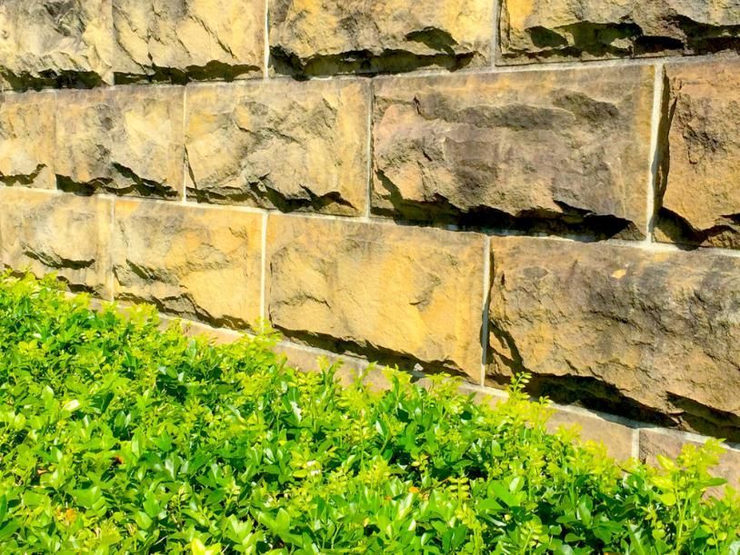 Stone Wall With a Bush in Front of It — Ausmade Services Pty Ltd in Chapel Hill, QLD