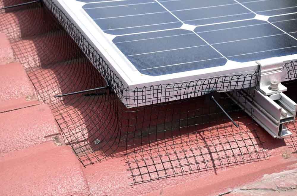 Black Mesh Bird Proofing On A Solar Panel — Ausmade Services Pty Ltd in Chapel Hill, QLD