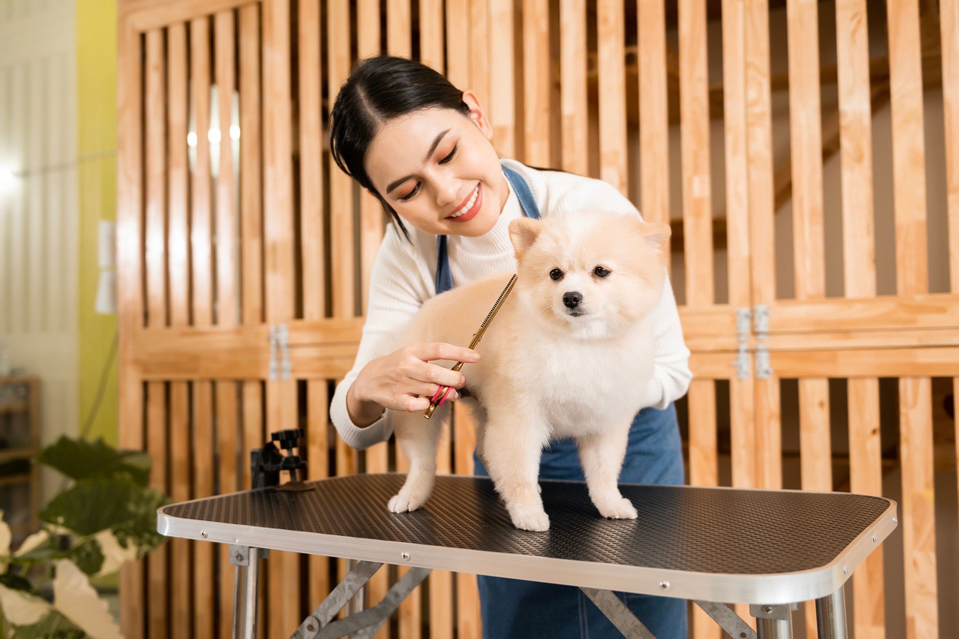Contact Greensboro, NC Noah's Bark Mobile Grooming
