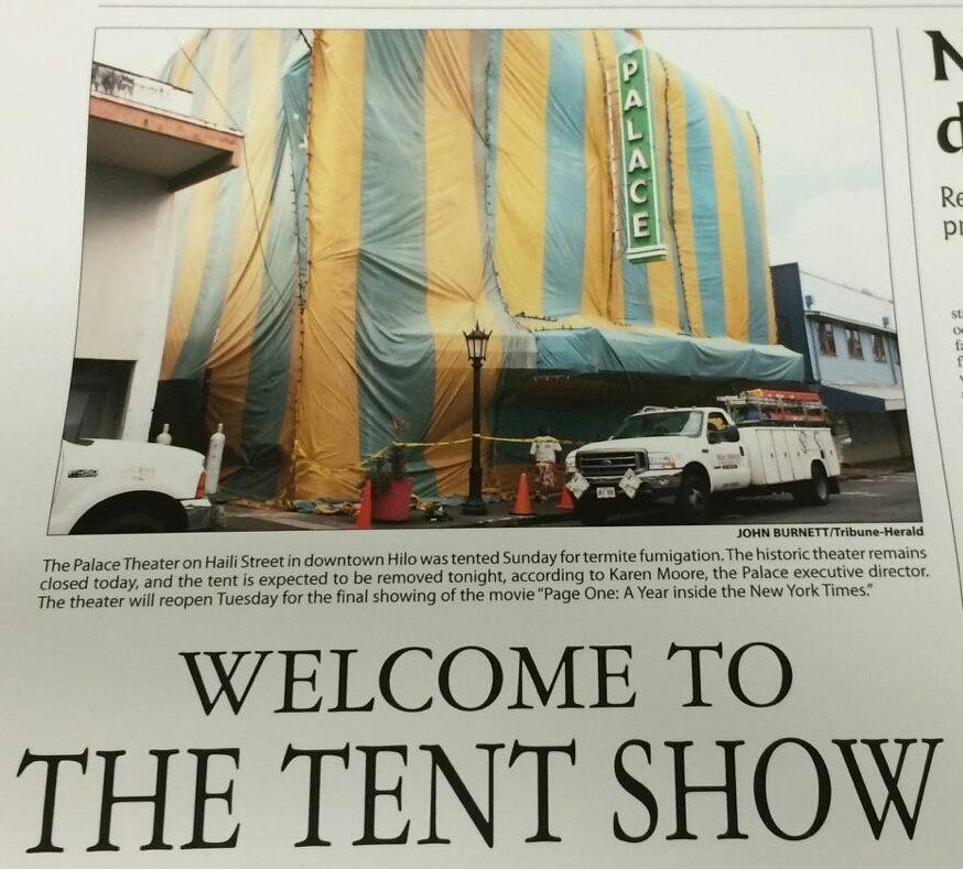 Termite Pest Control HI Hilo Termite & Pest Control Ltd