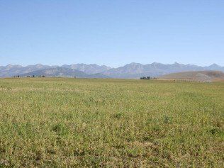 Landscape Field — Belgrade, MT — JK Appraisal & Consulting LLC