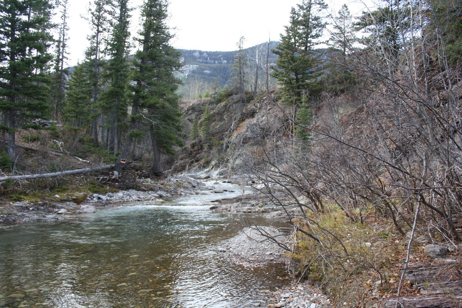 Lake Surrounded By Trees — Belgrade, MT — JK Appraisal & Consulting LLC