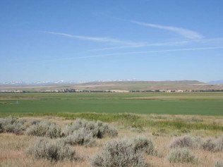 Landscape With Bush — Belgrade, MT — JK Appraisal & Consulting LLC