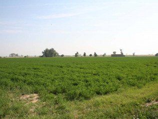 Open Field Grass — Belgrade, MT — JK Appraisal & Consulting LLC