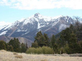Large Trees And Mountains — Belgrade, MT — JK Appraisal & Consulting LLC