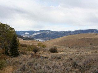 Brown Grass On The Hill — Belgrade, MT — JK Appraisal & Consulting LLC