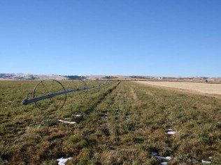 Land And Grass With Lanscaping Equipment — Belgrade, MT — JK Appraisal & Consulting LLC