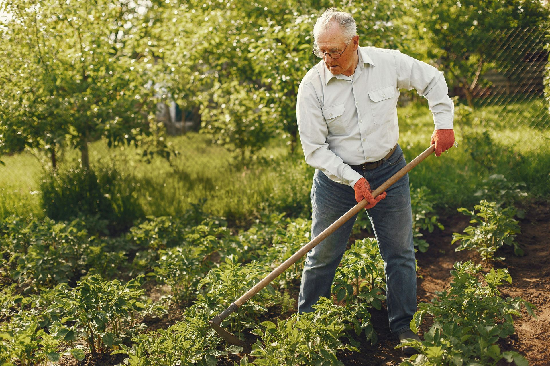 white shirt man using scythe to clear garden plants