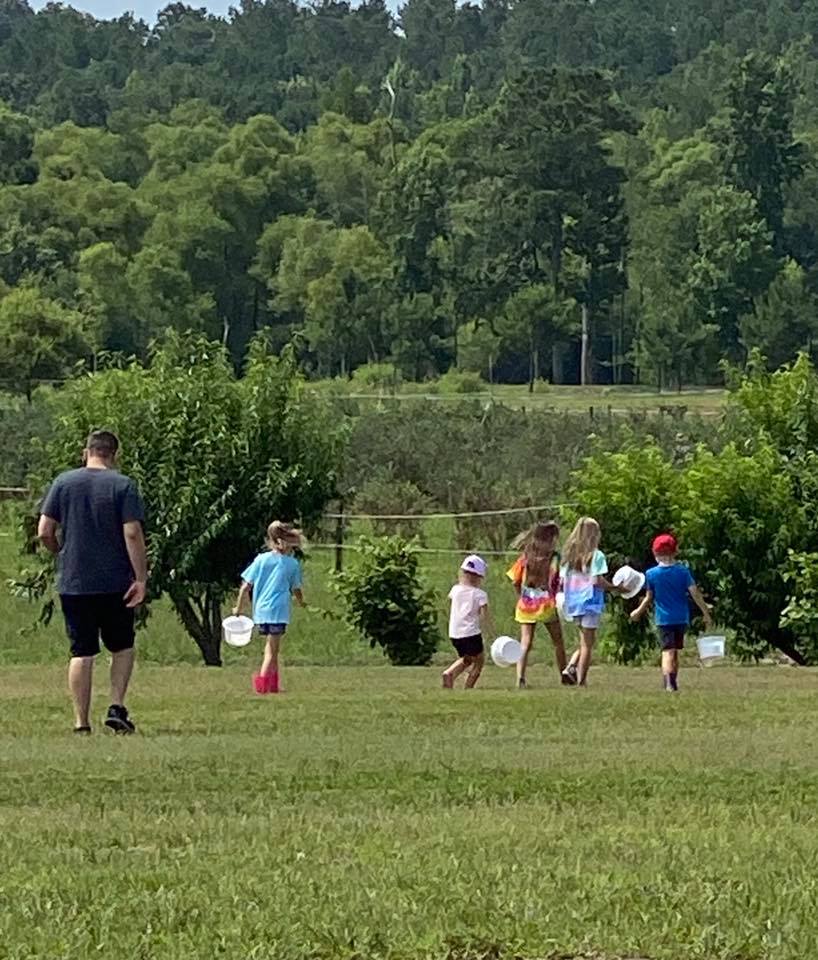 people in field