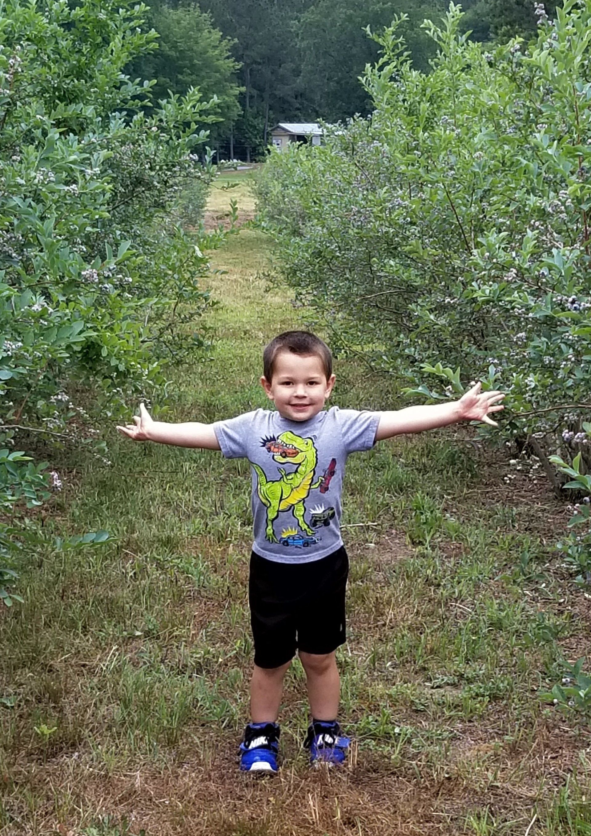 child standing in feild