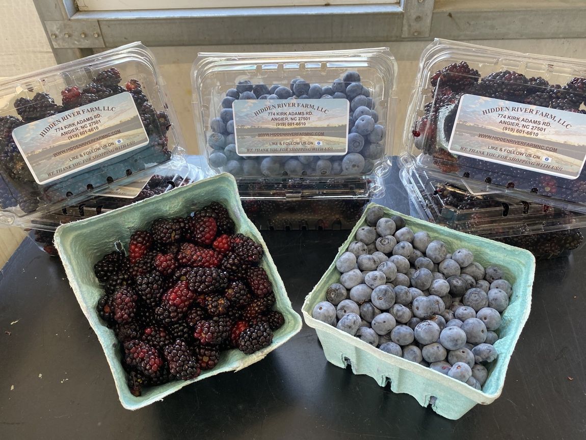 berries in packaging