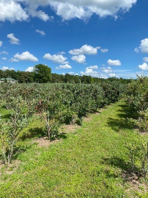 Hidden River Farm, LLC. photo 16