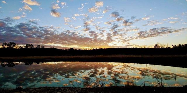 Hidden River Farm, LLC. photo 20