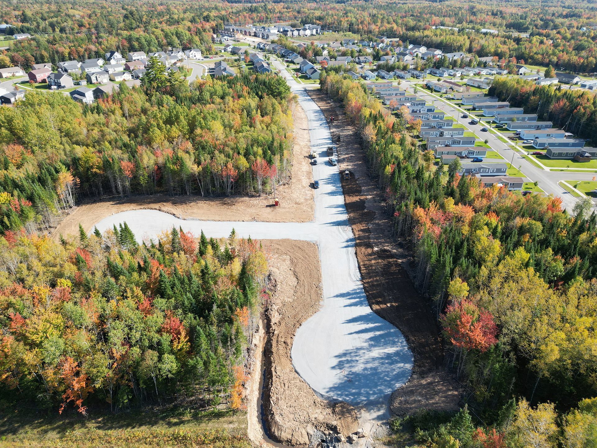 An aerial view of a road going through a residential area surrounded by trees.