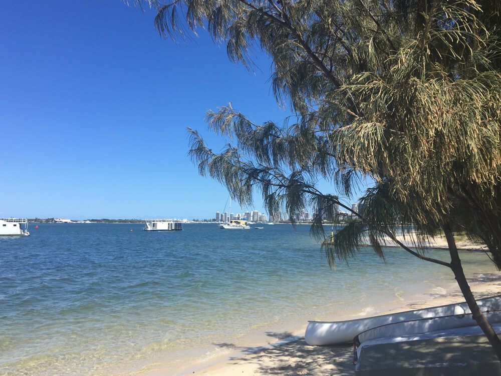 A Beach with Boats in The Water and A Tree in The Foreground — Goldspark GC Electrical in Benowa, QLD