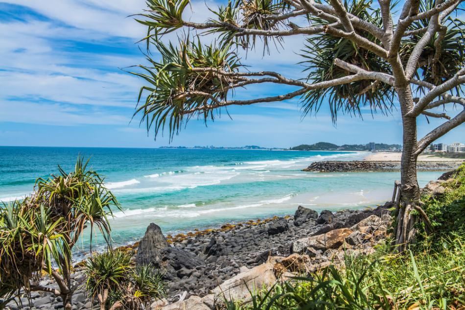 A View of The Ocean from A Rocky Beach with A Tree in The Foreground — Goldspark GC Electrical in Burleigh Waters, QLD