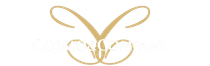Logo monogramma dorato con farfalle stilizzate o nastri su sfondo bianco