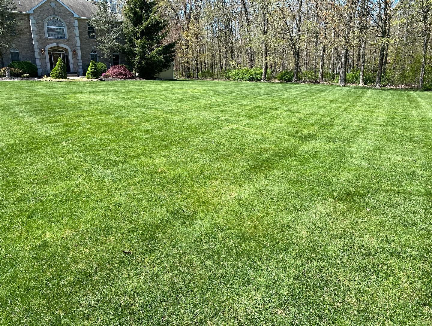 A large lush green lawn in front of a house.