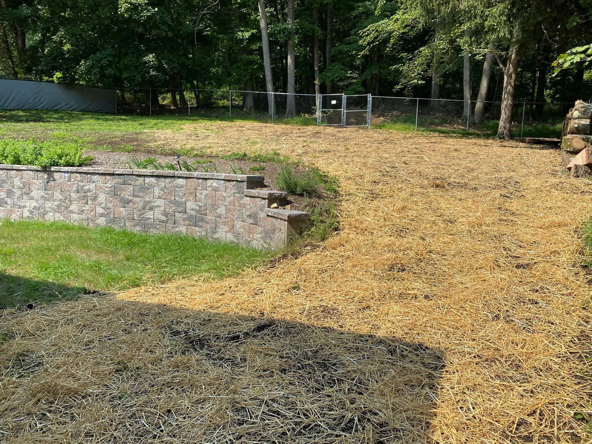 A person is standing on a rock in the middle of a field.