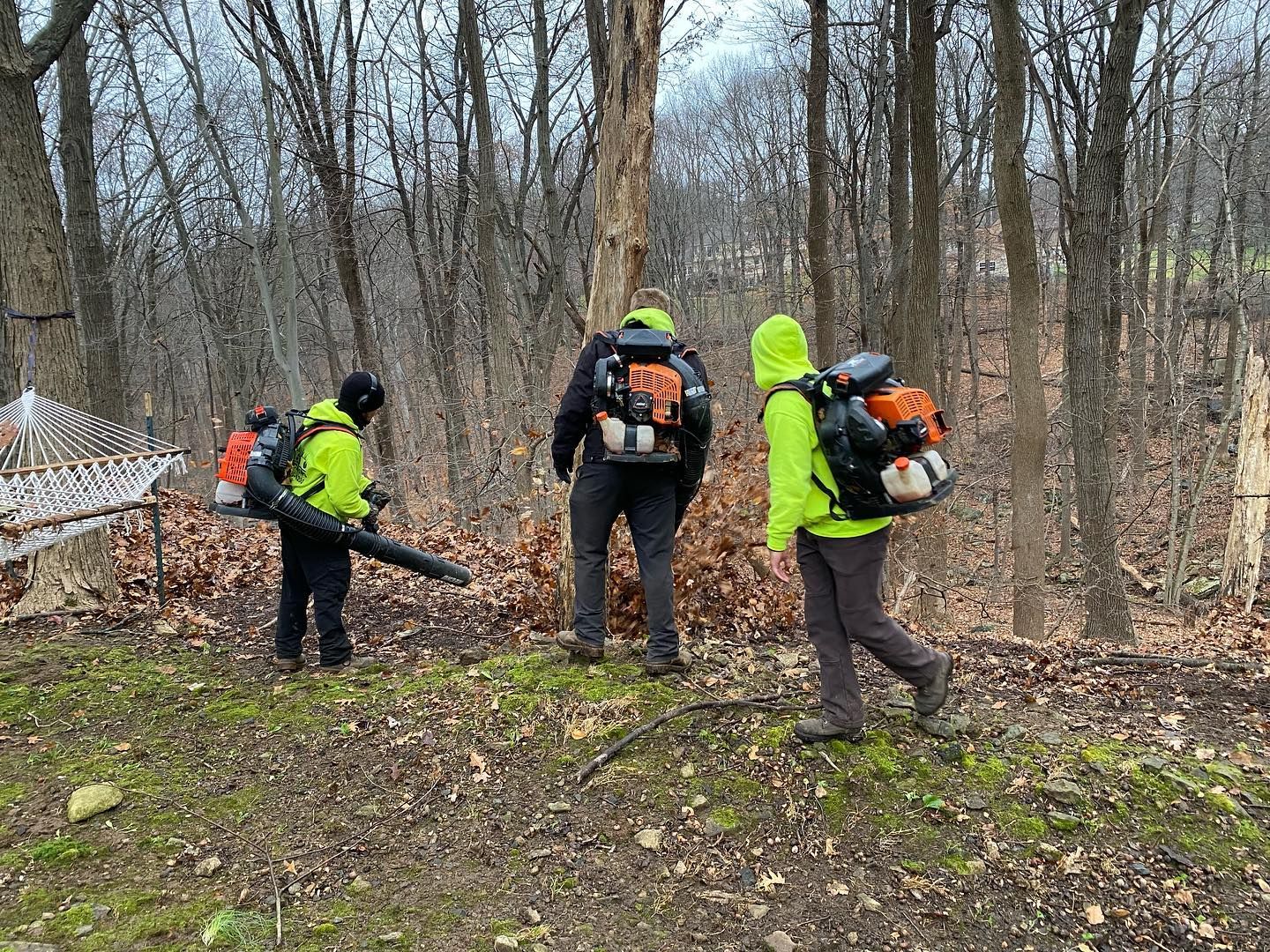 A group of people with backpacks are walking through a forest.