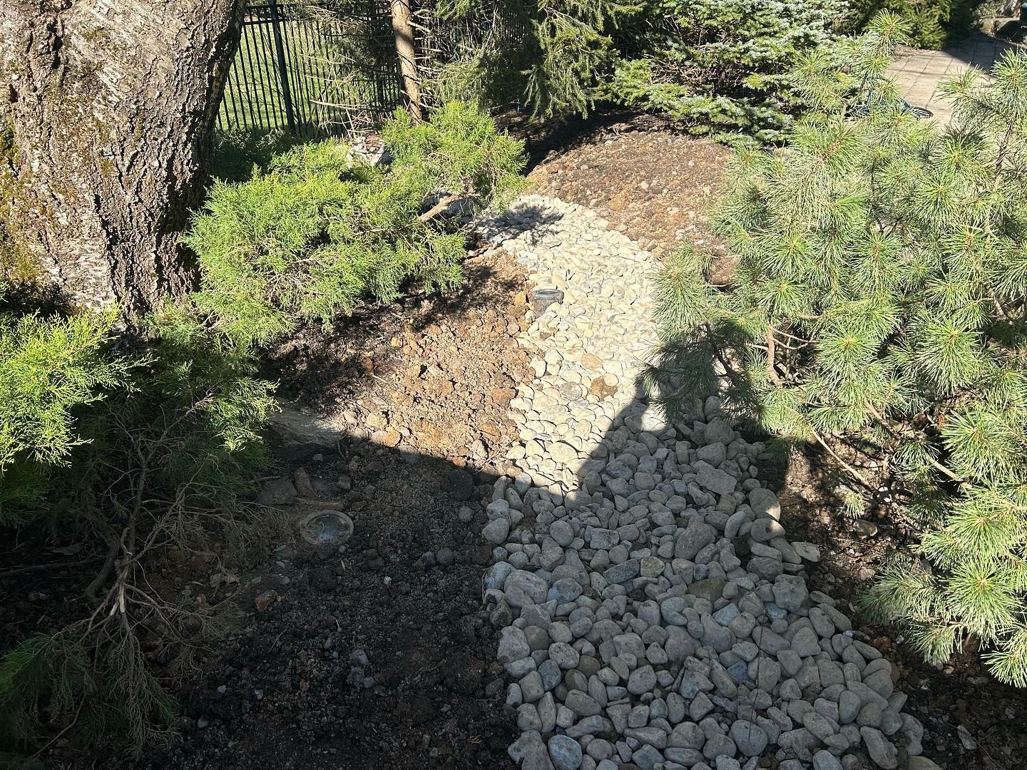 A shadow of a person is cast on a pile of rocks in a forest.