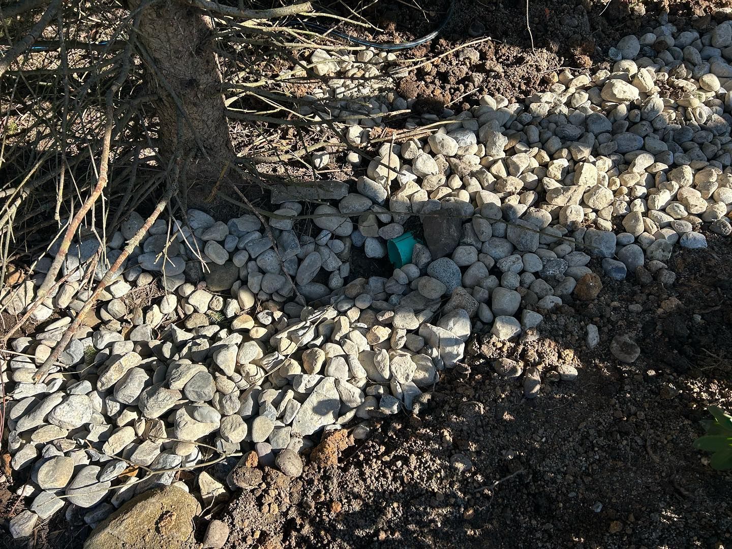 A pile of rocks and dirt next to a tree.