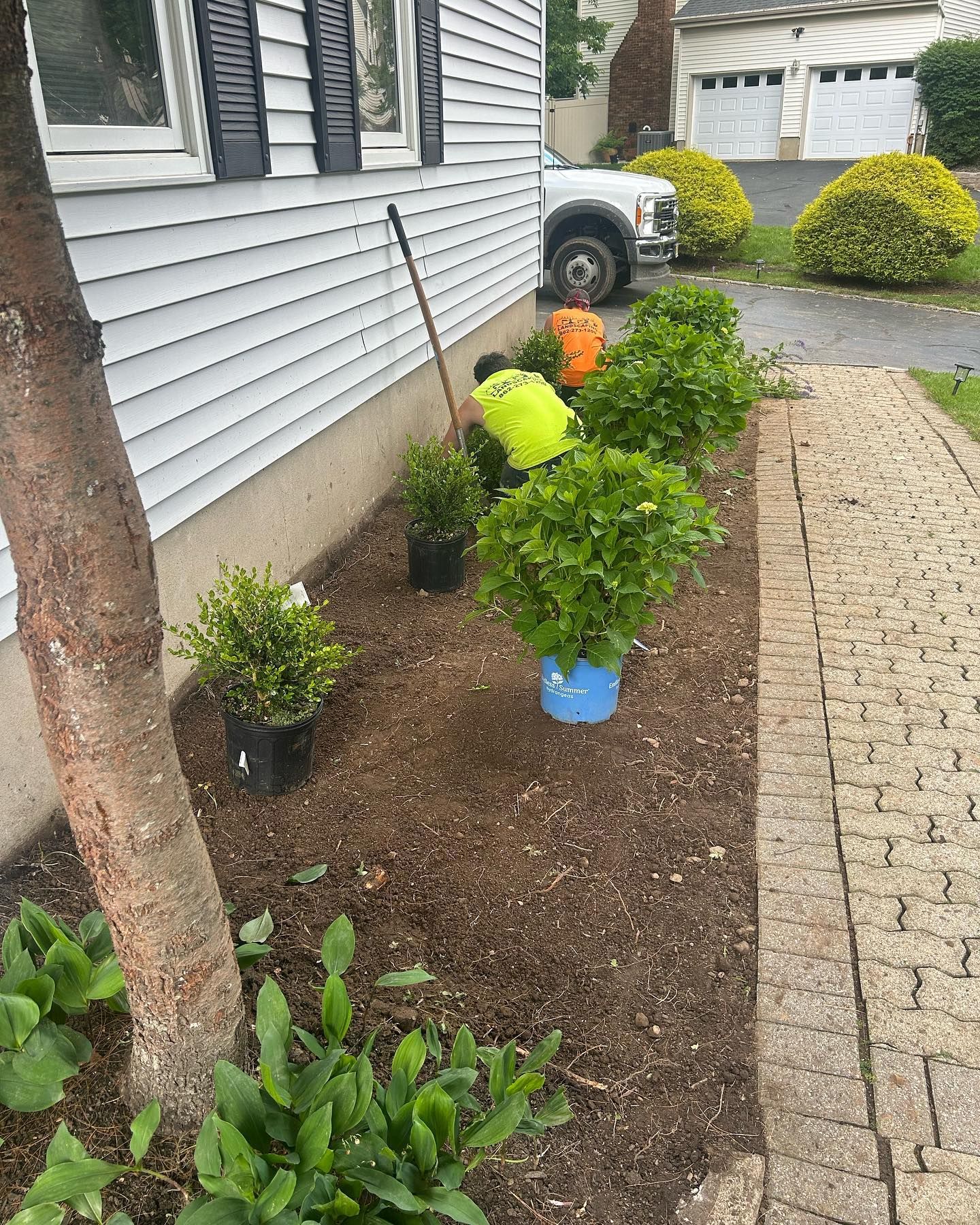 A man is planting plants in a garden in front of a house.