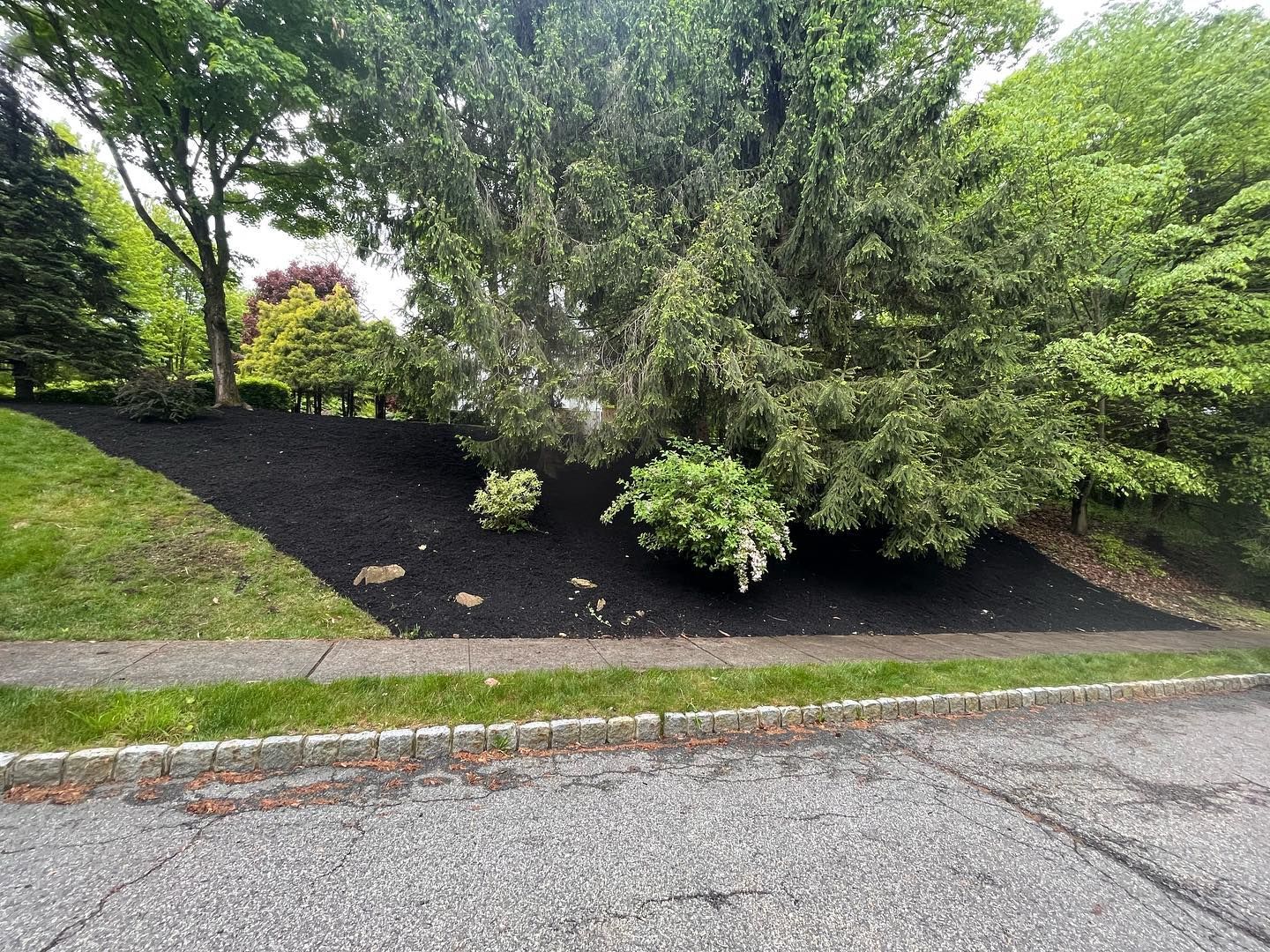 There is a lot of mulch on the side of the road.
