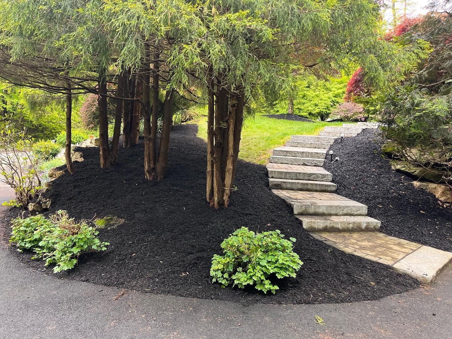 A lush green garden with trees and stairs leading up to it.