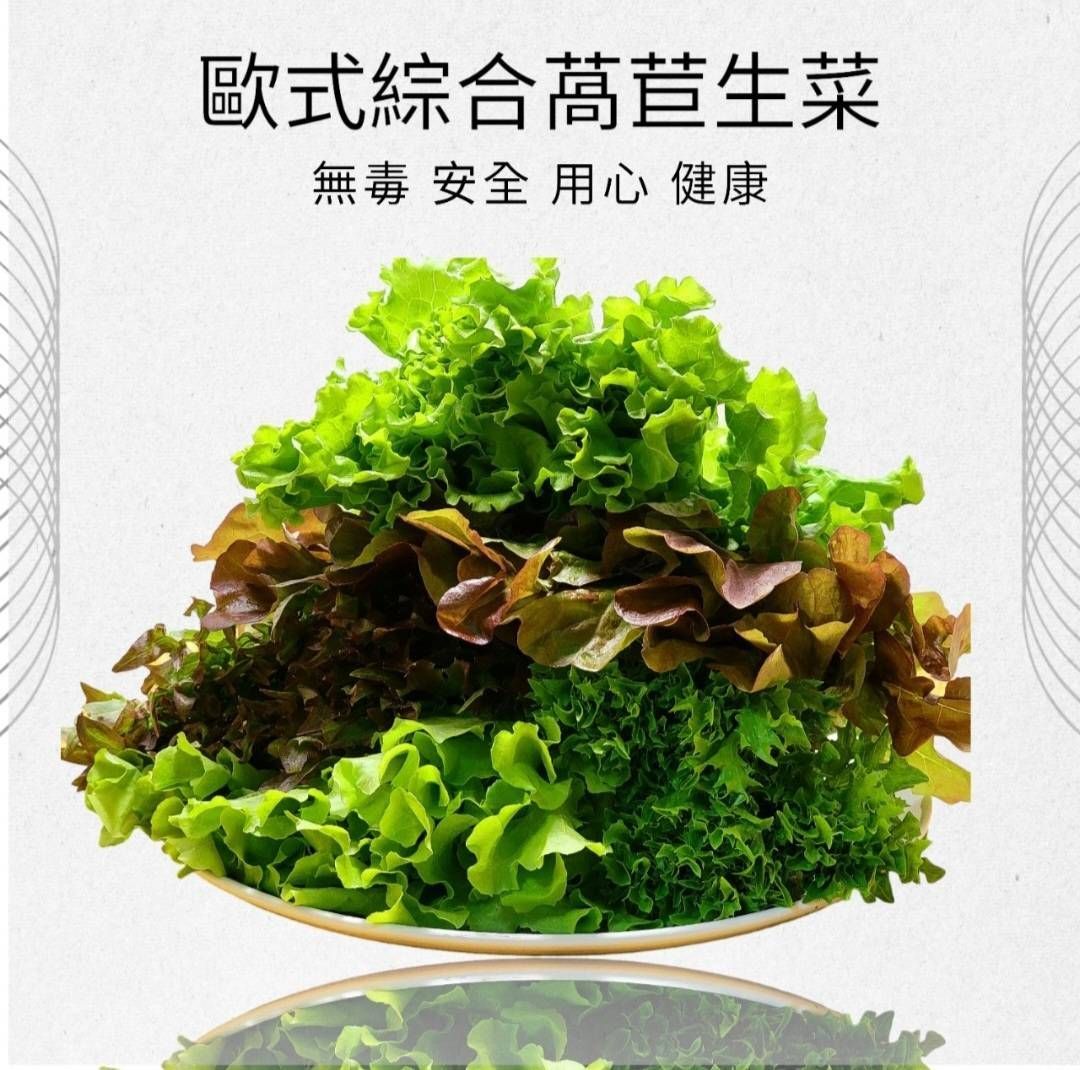 歐式綜合生菜