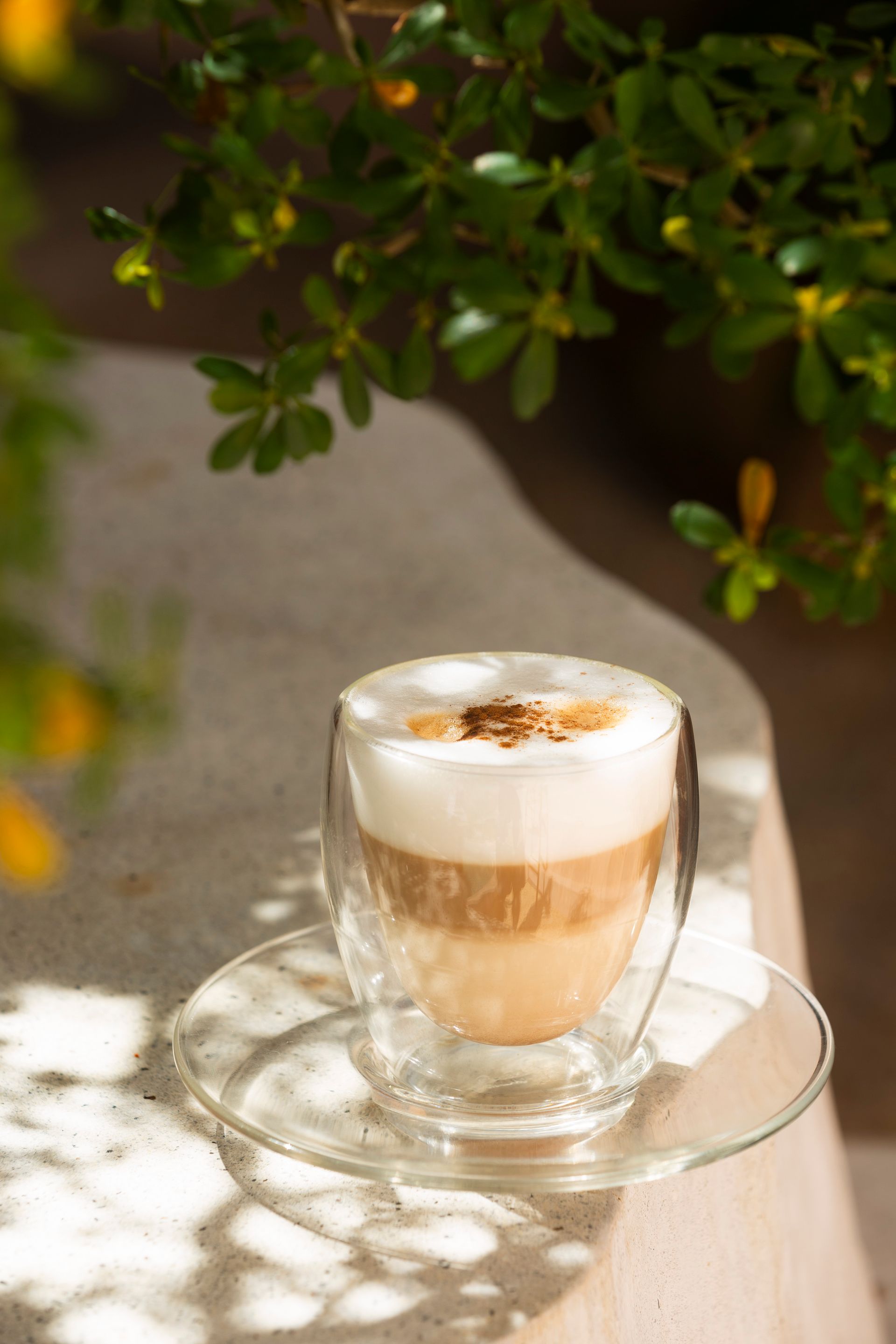 Latte in a clear glass on a saucer, with foam, layered textures. Underneath a plant, sunlight.
