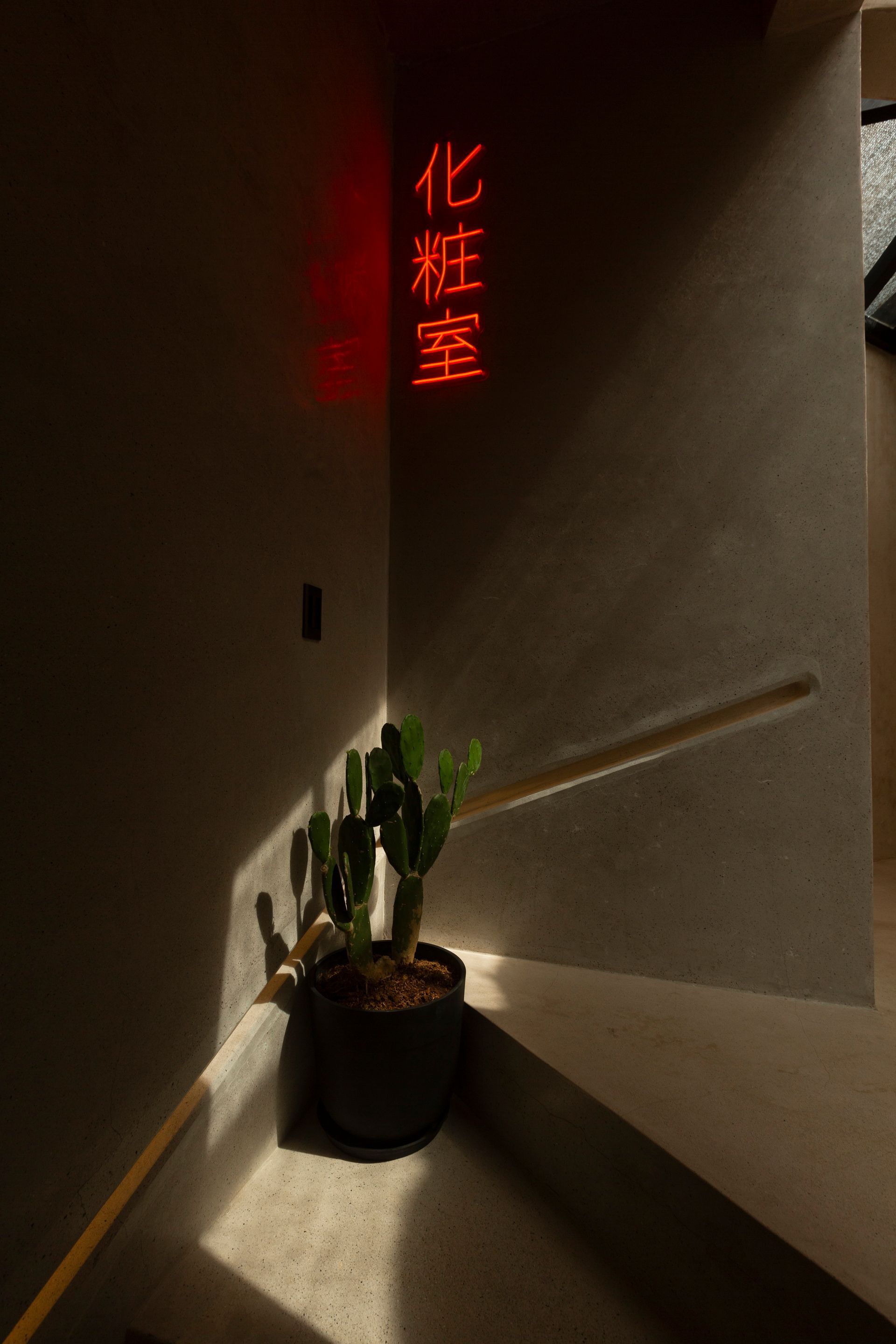 Stairwell with a potted cactus; red neon sign in Chinese characters.