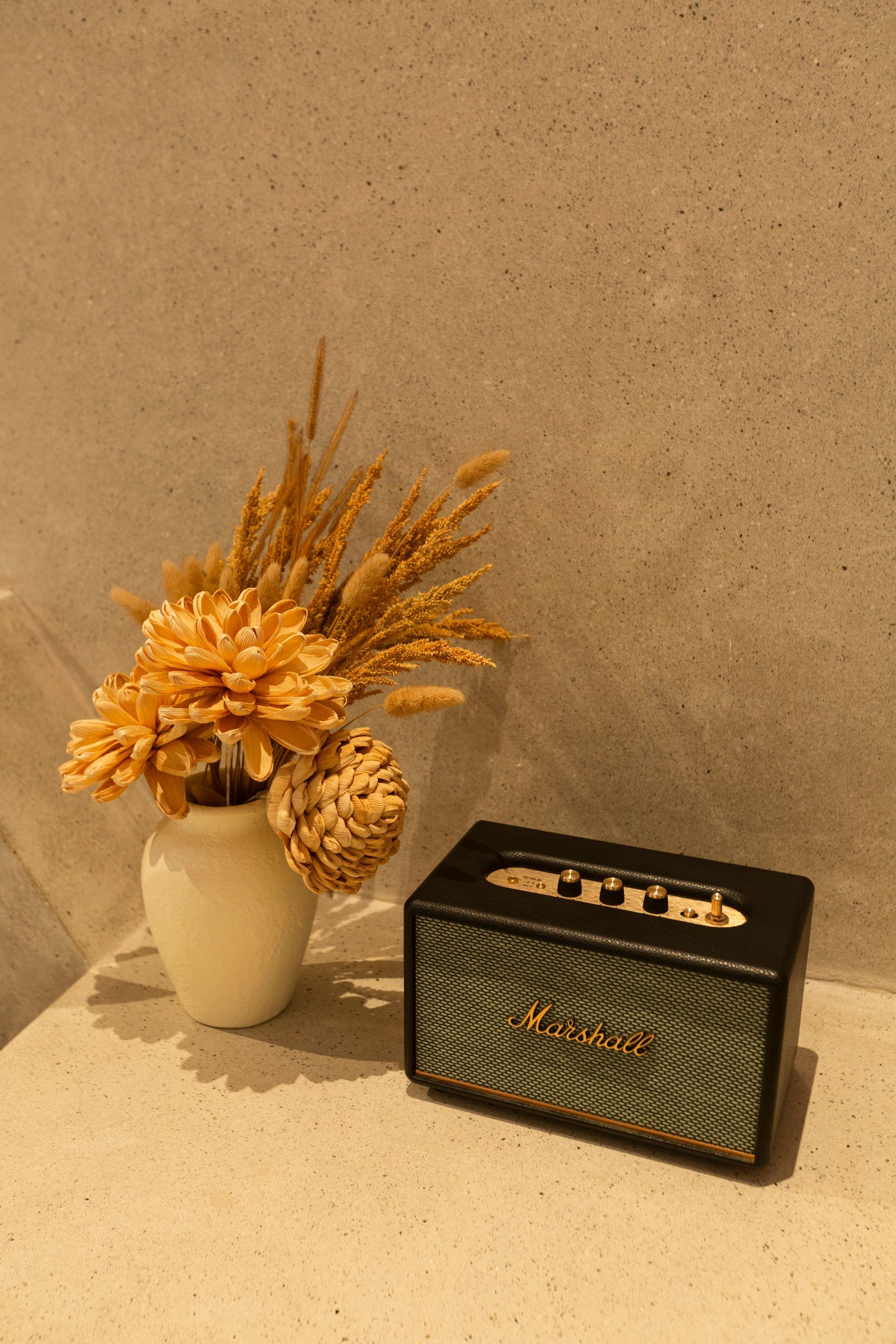 A Marshall Bluetooth speaker and a vase of dried flowers sit on a beige ledge against a textured wall.