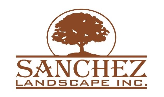 Sanchez  Logo