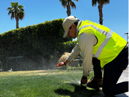 Irrigation installation, maintenance, and repairs