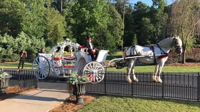 A Guy Riding the Horse — Atlanta, GA — Pristine Chapel
